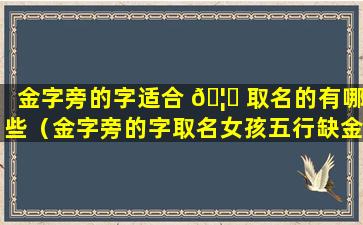 金字旁的字适合 🦊 取名的有哪些（金字旁的字取名女孩五行缺金的名字）